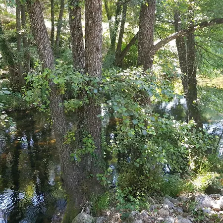 Esencia De Gredos * Ramacastanas
