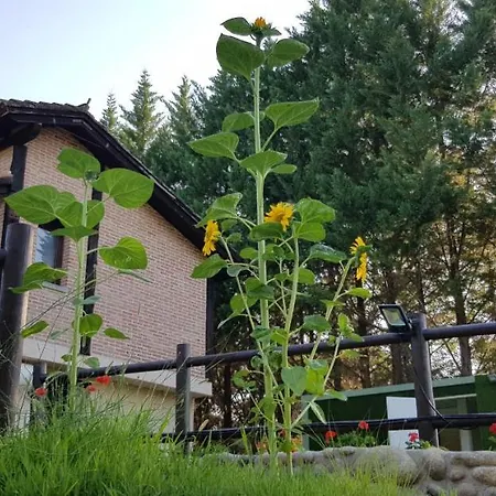 Esencia De Gredos * Ramacastanas