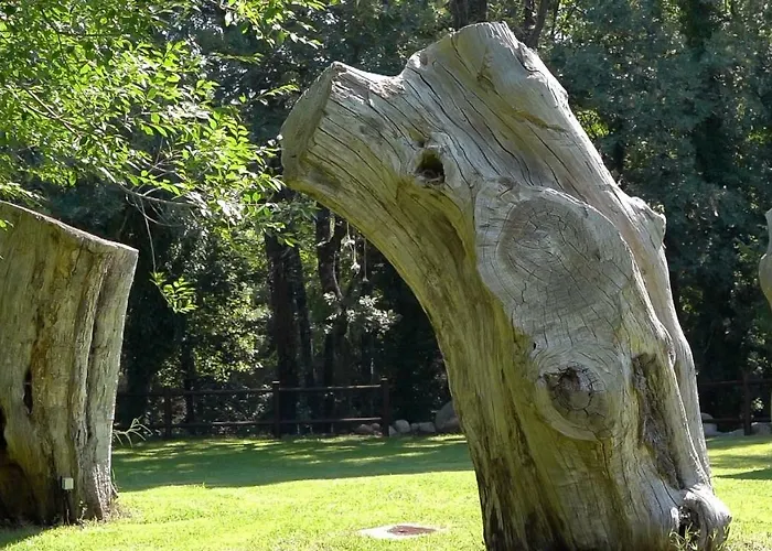 Esencia De Gredos Ramacastanas