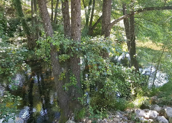 Esencia De Gredos * Ramacastanas