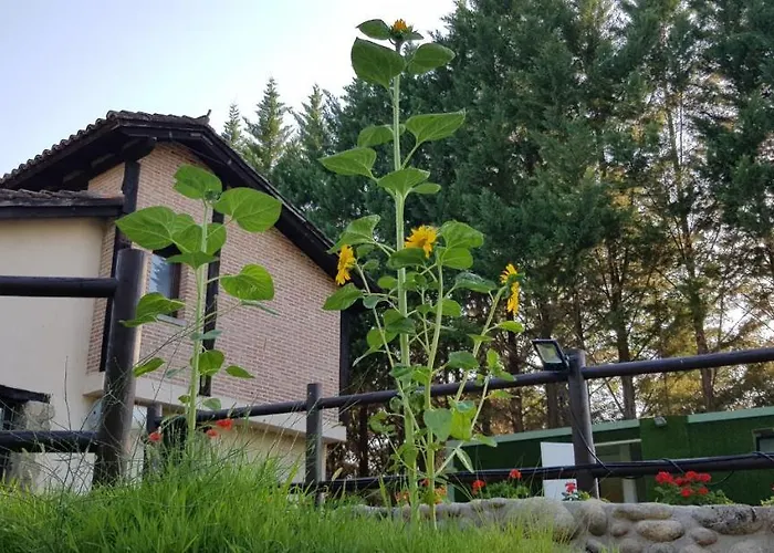 Esencia De Gredos * Ramacastanas